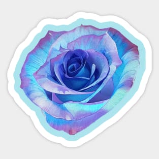 Sky Blue Purple Colorful Rose Sticker